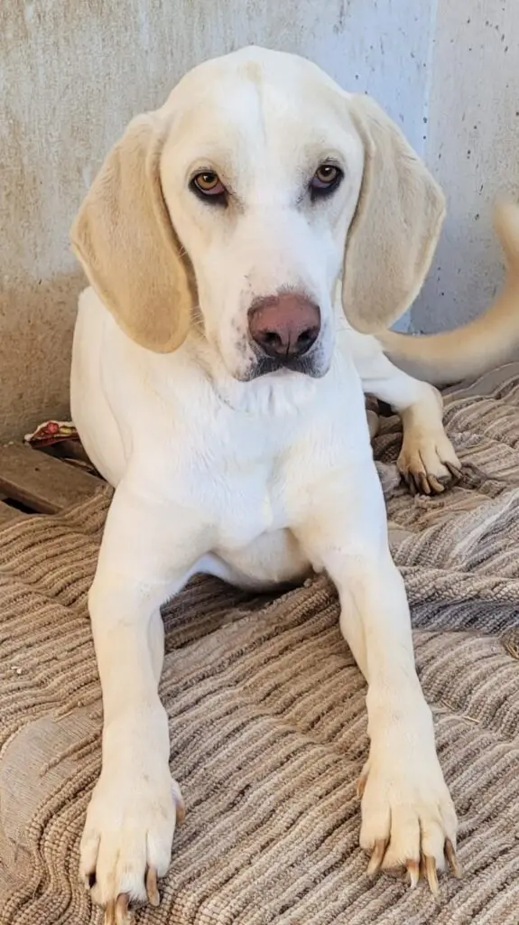 Leonard AKA Leny Thumb