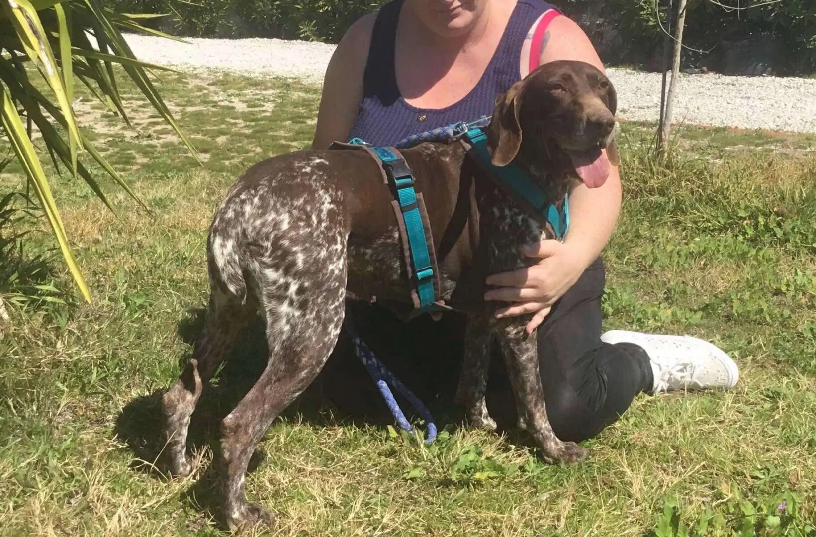 Meet Brava – A Survivor with a Heart as Big as her Spirit!