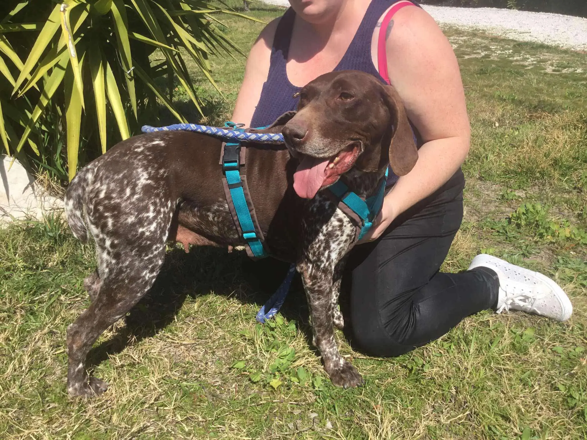 Meet Brava – A Survivor with a Heart as Big as her Spirit!