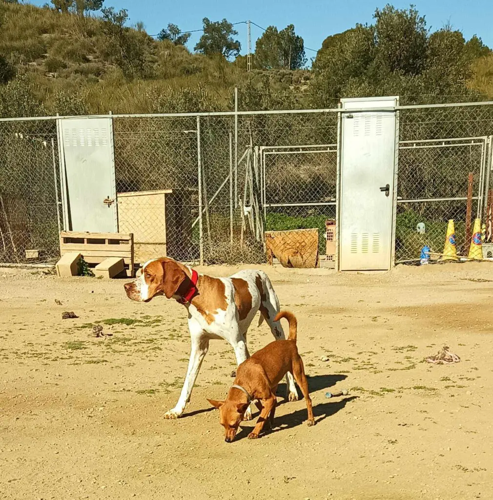 Sweet & Shy Lady Thumb