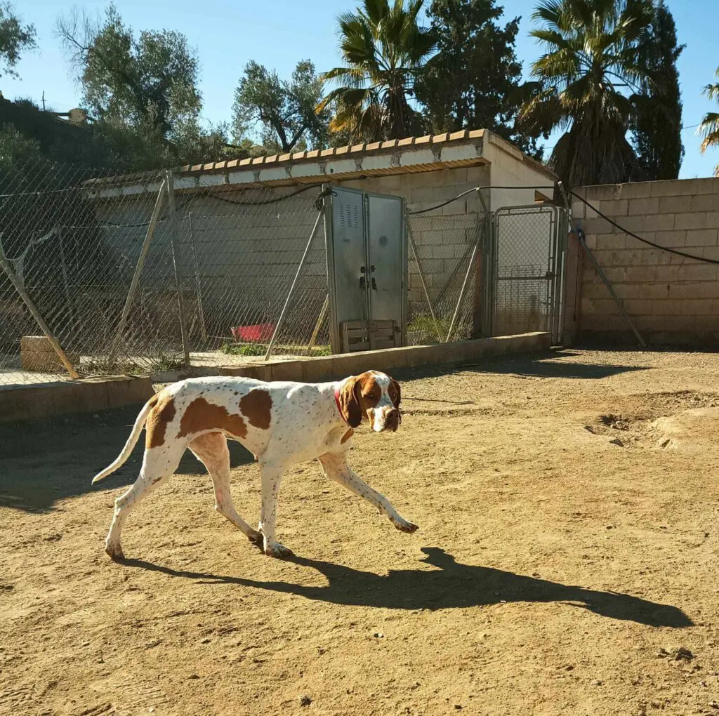 Sweet & Shy Lady Thumb