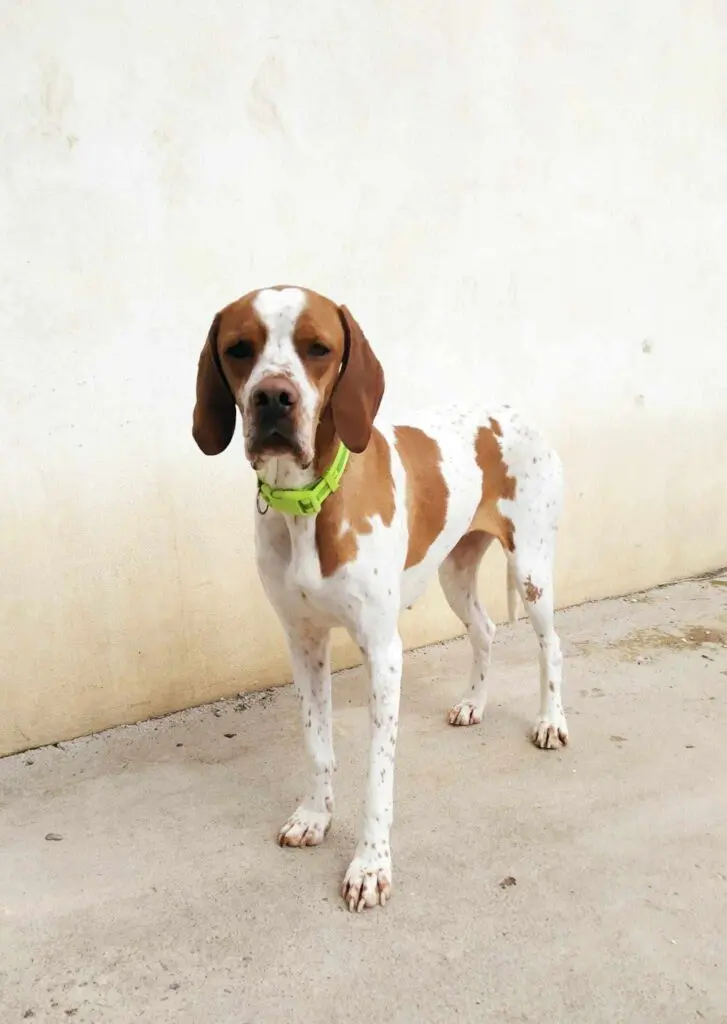 Sweet & Shy Lady Thumb