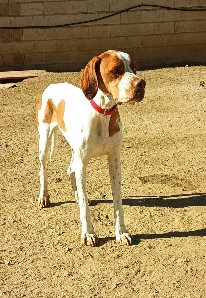 Sweet & Shy Lady Thumb