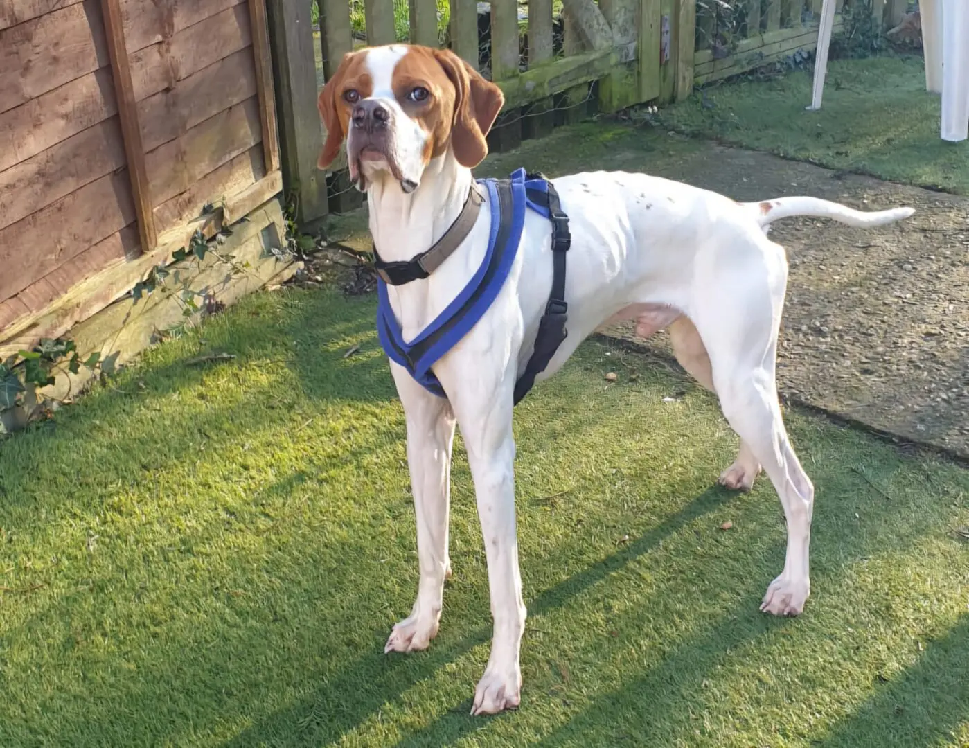 Winston – Special Boy – UK – External Case