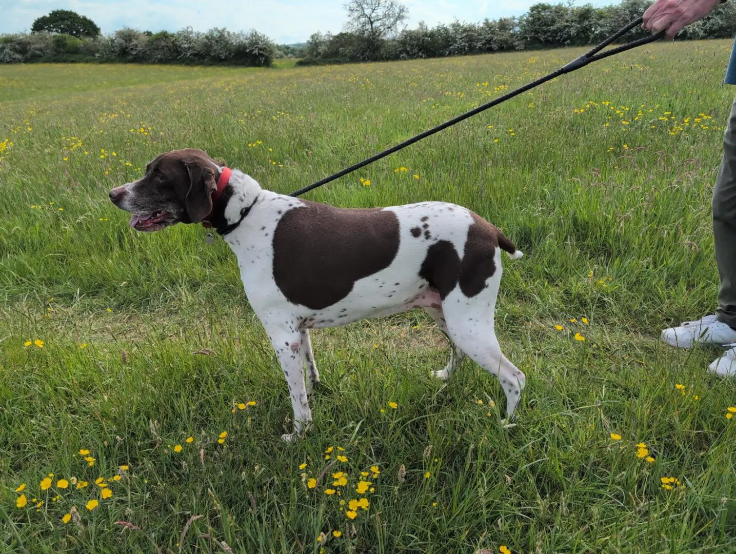 Sweet Soul Zoe From The UK