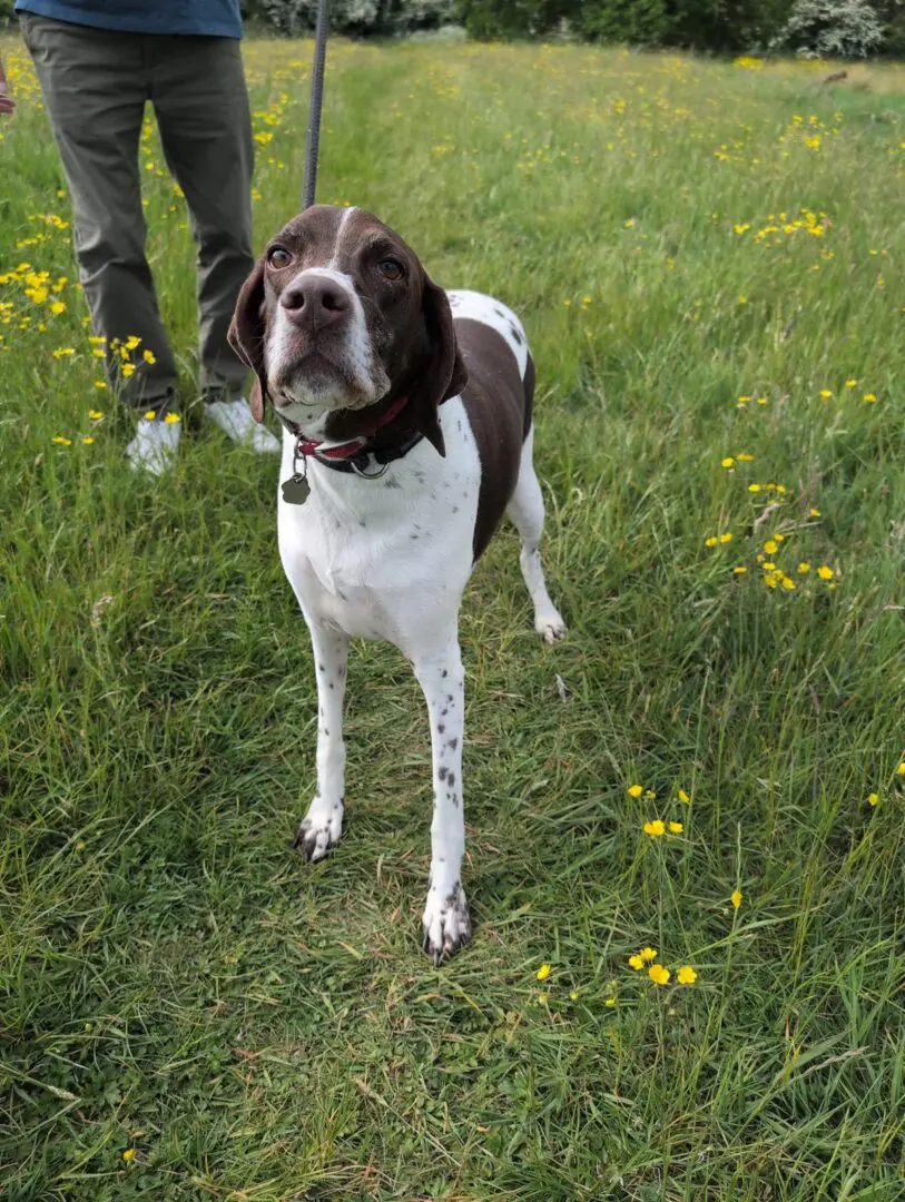 Sweet Soul Zoe From The UK