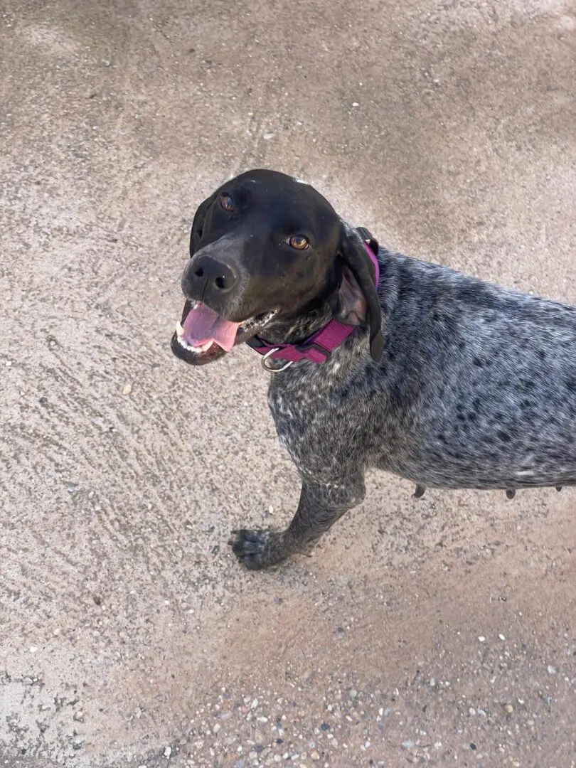 From Lost to Loved – Kiara’s Journey, in Her Own Words