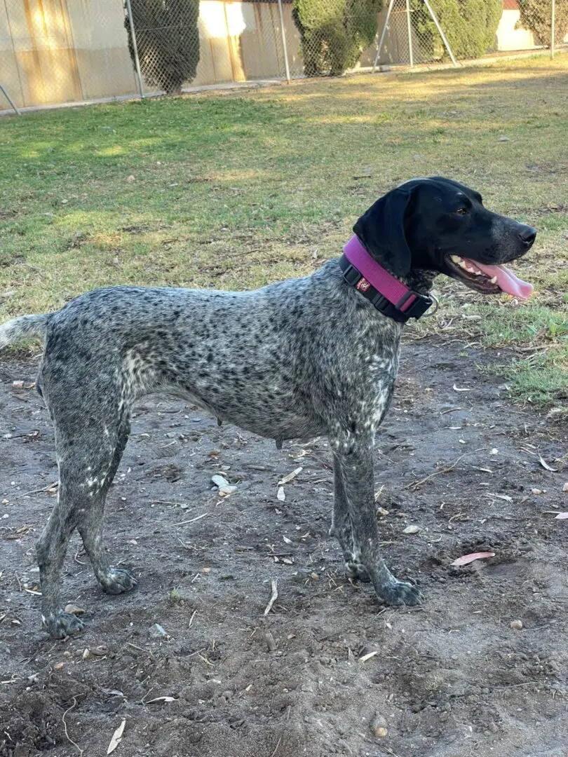 From Lost to Loved – Kiara’s Journey, in Her Own Words