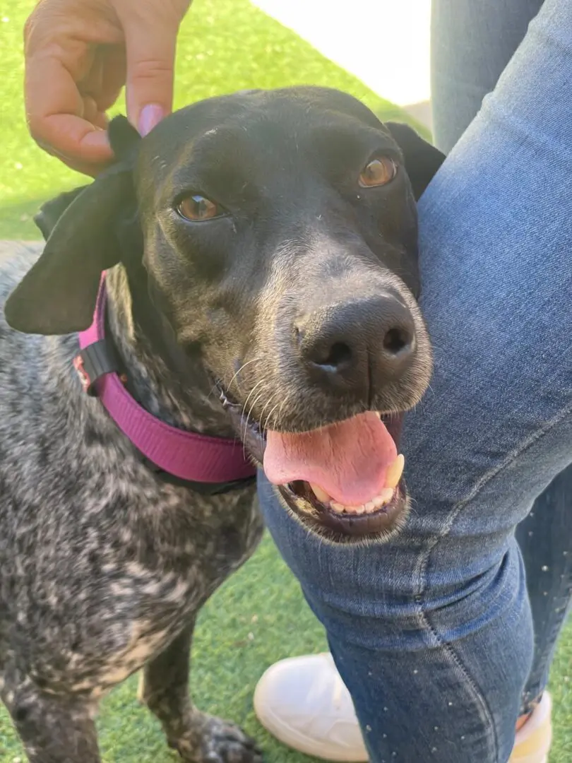 From Lost to Loved – Kiara’s Journey, in Her Own Words