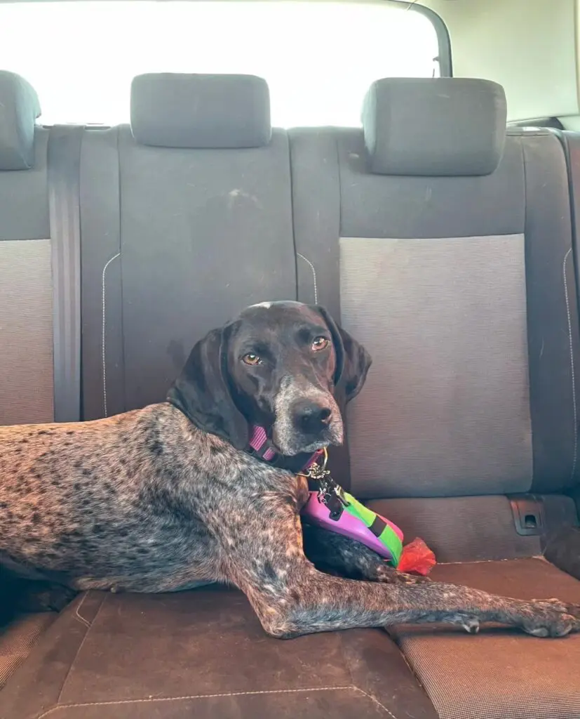 From Lost to Loved – Kiara’s Journey, in Her Own Words Thumb