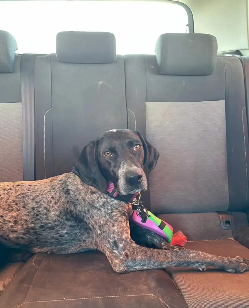 From Lost to Loved – Kiara’s Journey, in Her Own Words