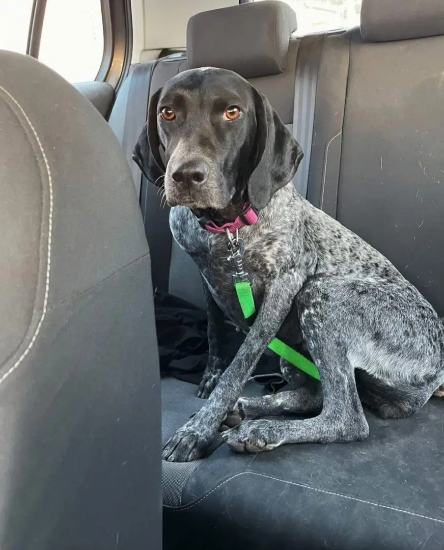 From Lost to Loved – Kiara’s Journey, in Her Own Words