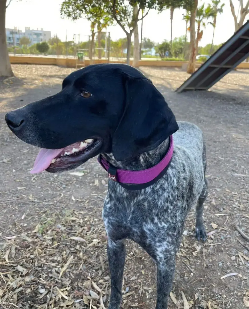 From Lost to Loved – Kiara’s Journey, in Her Own Words