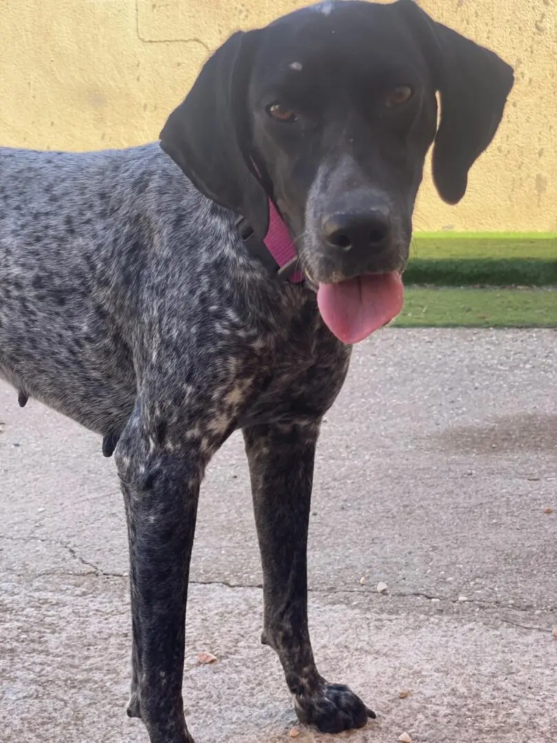 From Lost to Loved – Kiara’s Journey, in Her Own Words