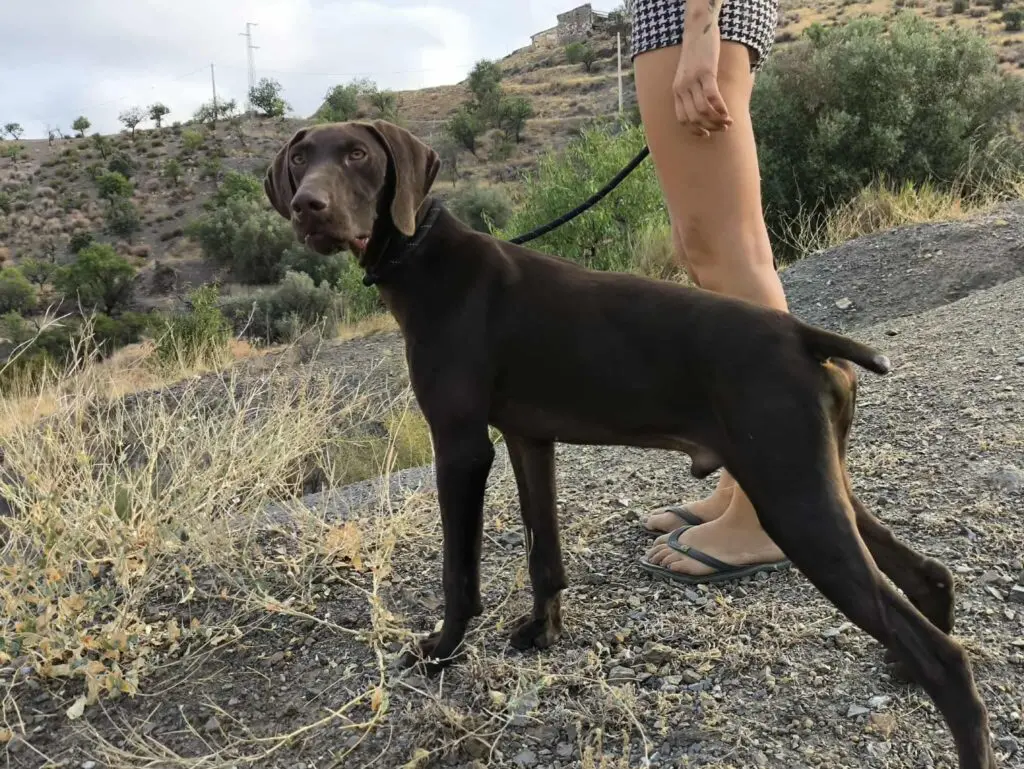 Boomer… Boom straight into your heart! Thumb