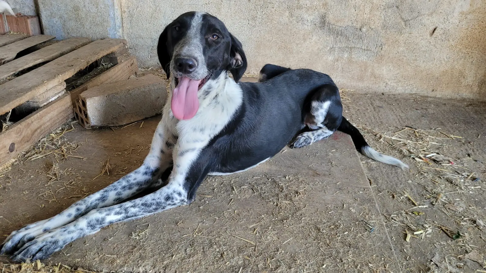 A Letter From Shy Sam & Smiley Tom