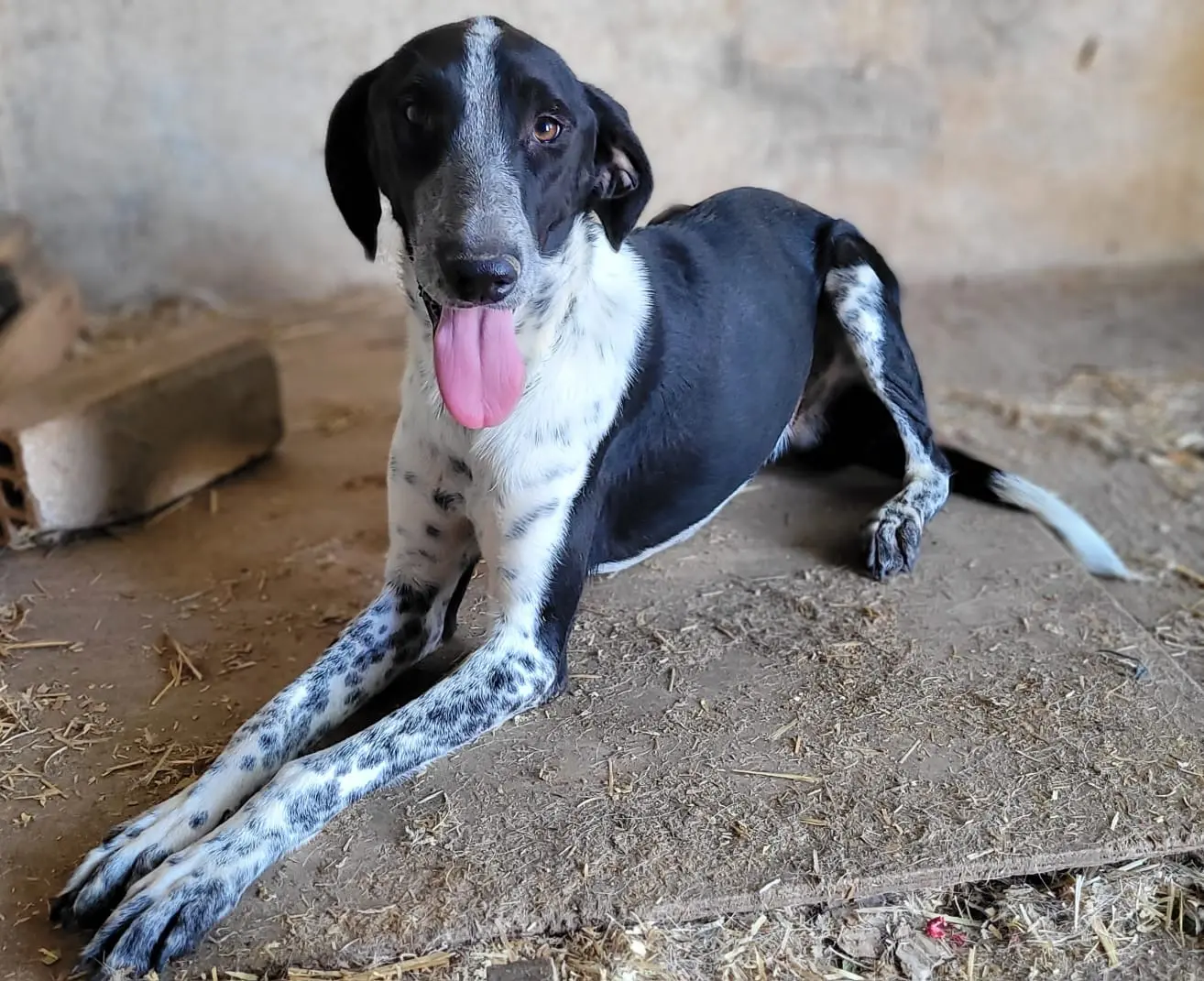 A Letter From Shy Sam & Smiley Tom