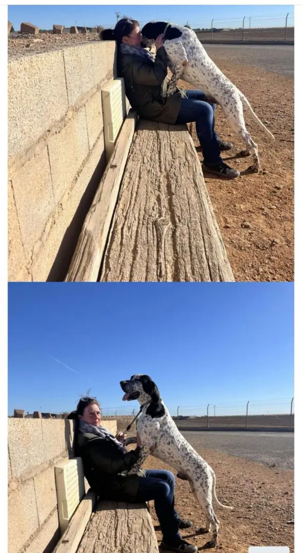 Kovi – Handsome and Affectionate