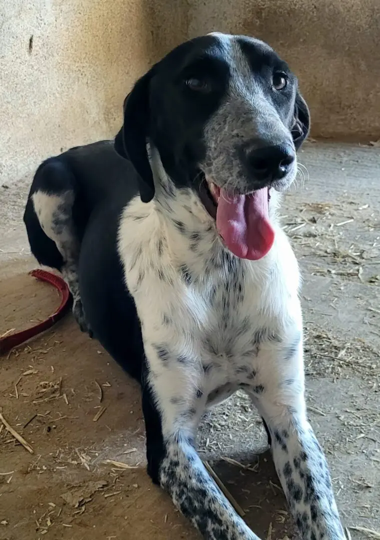 A Letter From Shy Sam & Smiley Tom