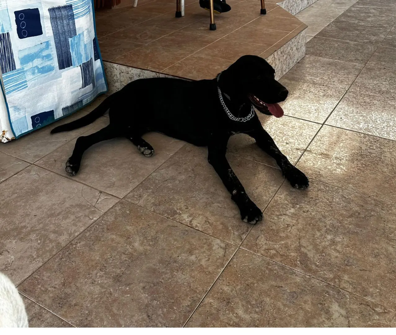 Fendi- Sweet Smart Boy – Full of Love.