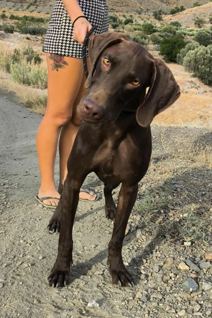 Boomer… Boom straight into your heart! Thumb