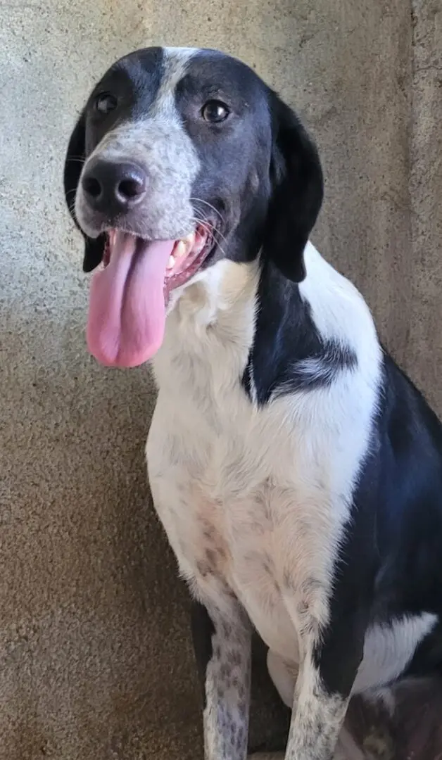 A Letter From Shy Sam & Smiley Tom