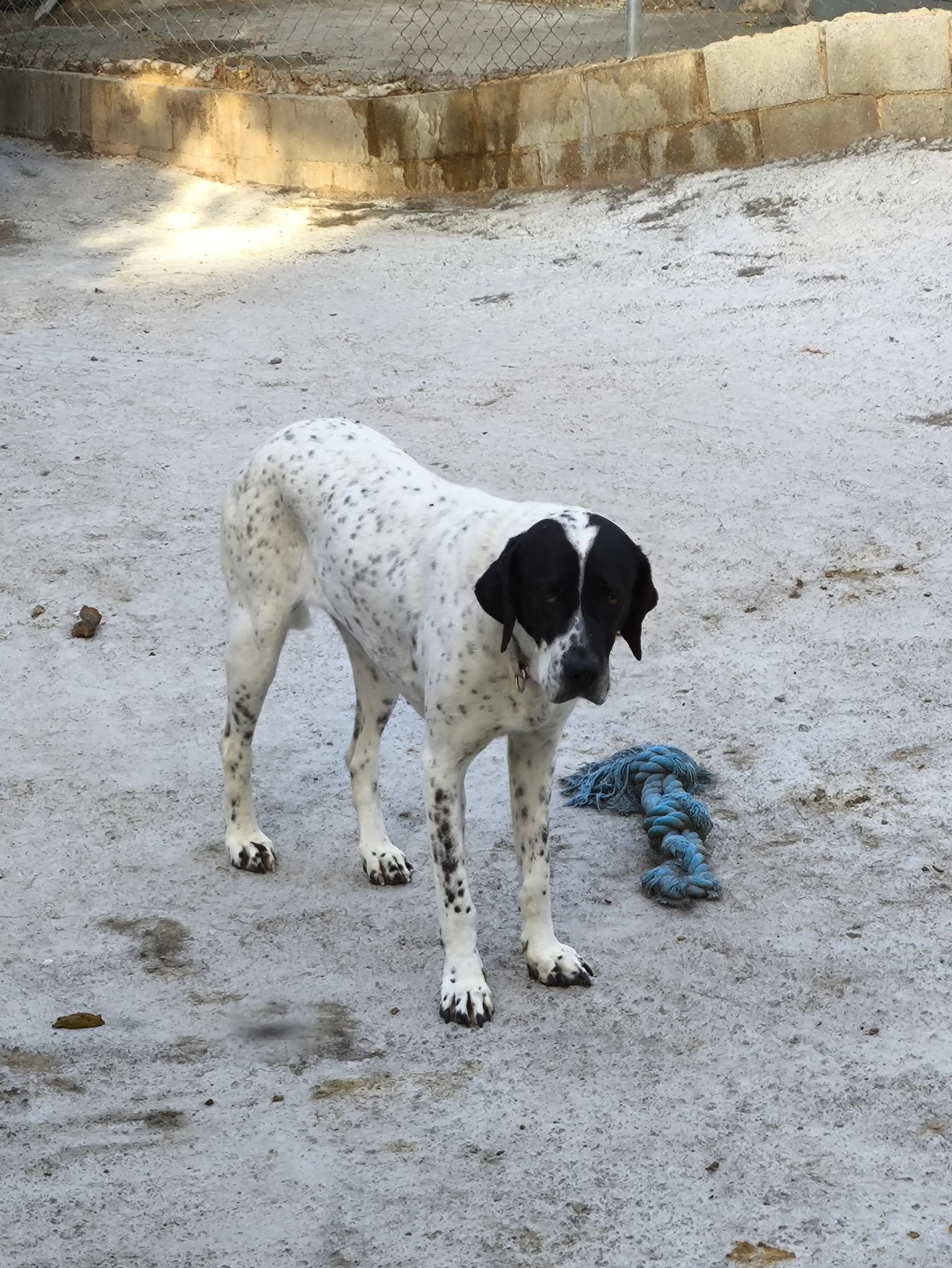 Meet Deisy – A Soul Still Learning to Trust