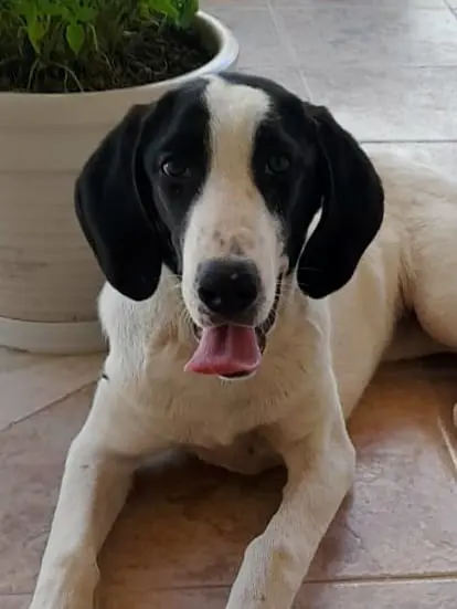 Nancy -A little sweet soul with a big heart.