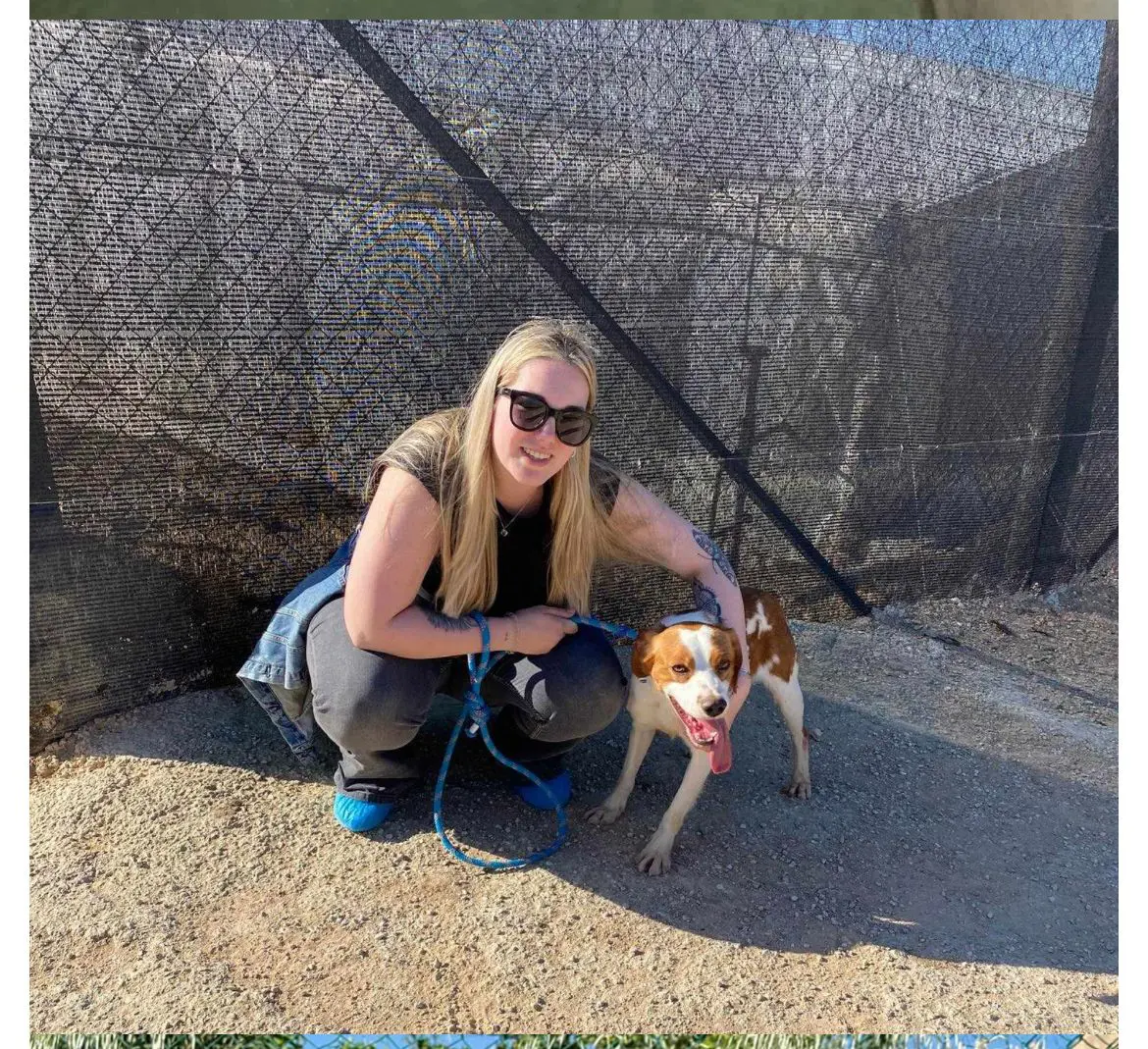 Deku – Pint Size Pocket Pointer X