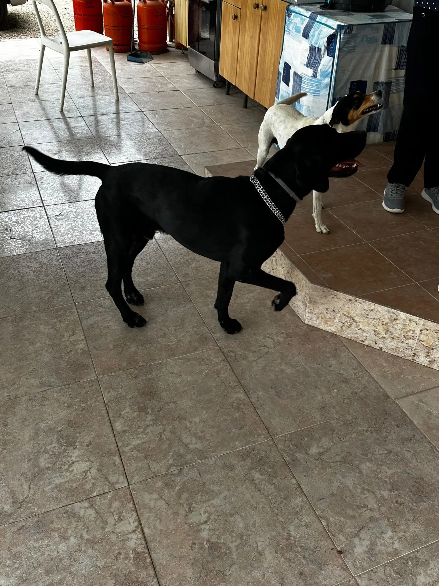 Fendi- Sweet Smart Boy – Full of Love.