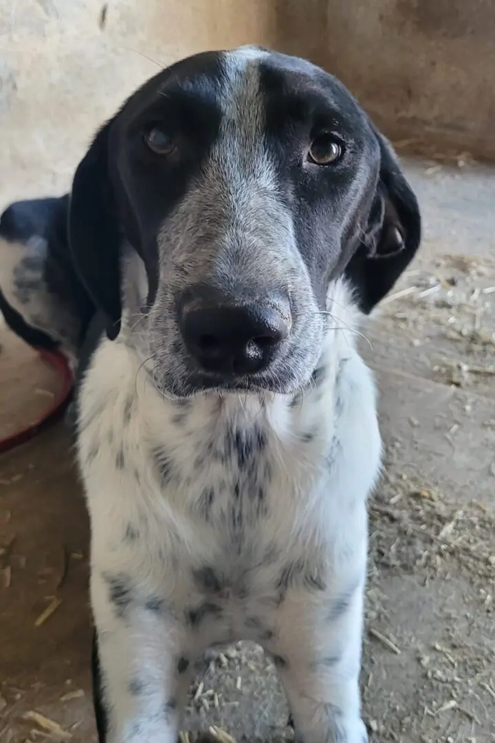 A Letter From Shy Sam & Smiley Tom