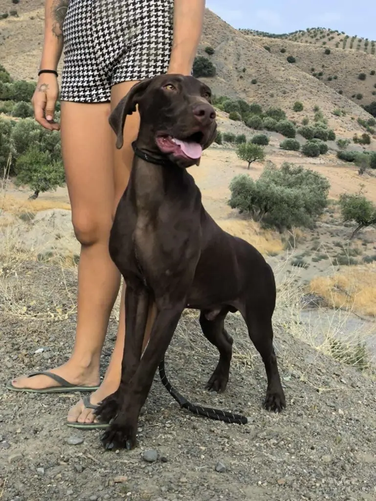 Boomer… Boom straight into your heart! Thumb