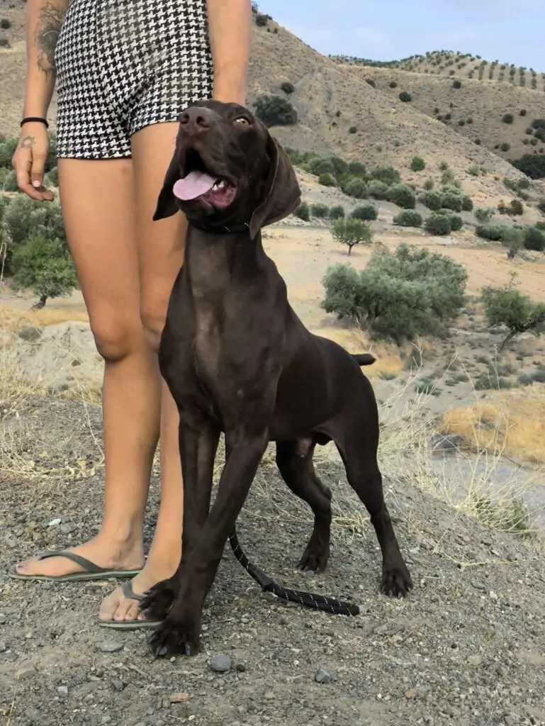 Boomer… Boom straight into your heart! Thumb