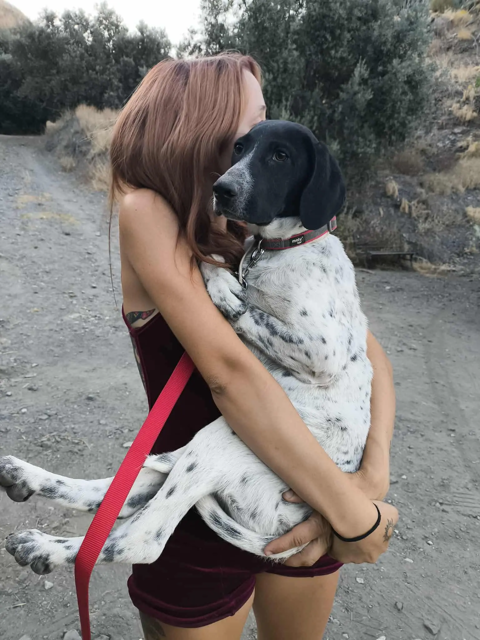 Little Benton … Cute Alert with big paws!