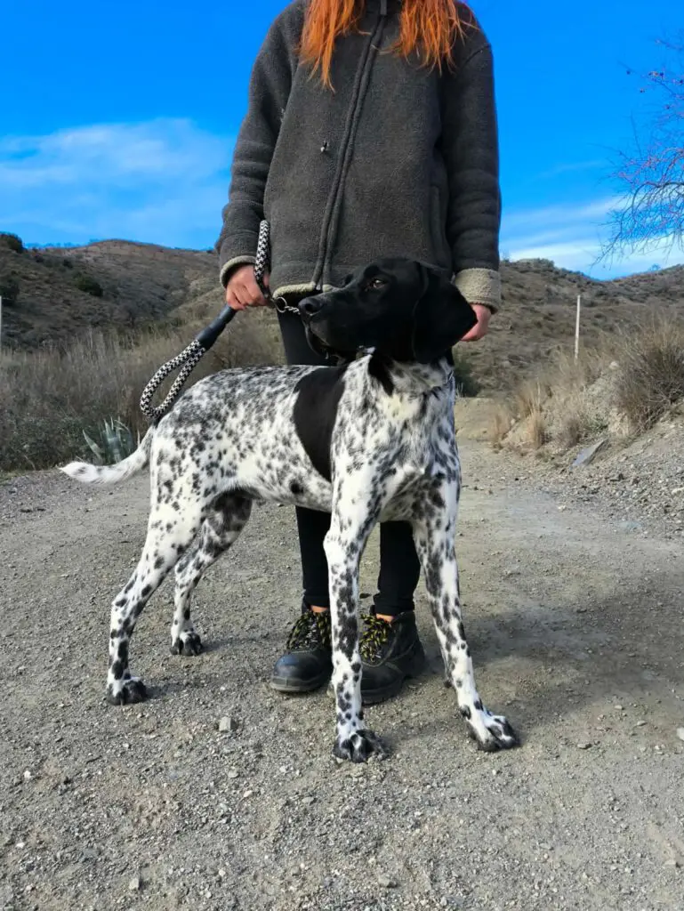 Riley – The Elegant “Floating” Pointer Thumb
