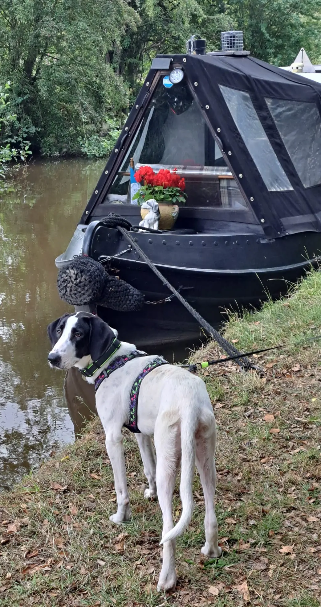 Nancy -A little sweet soul with a big heart.