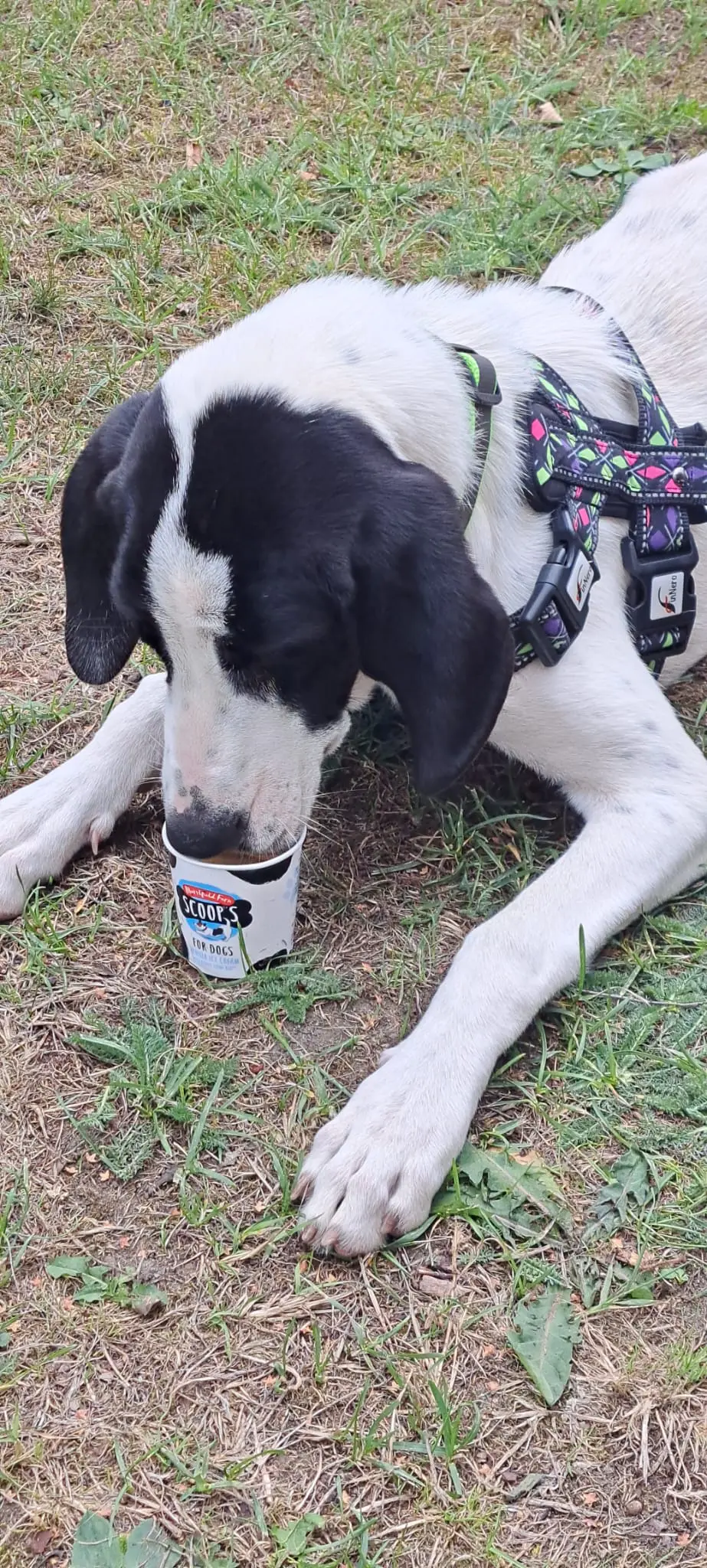 Nancy -A little sweet soul with a big heart.