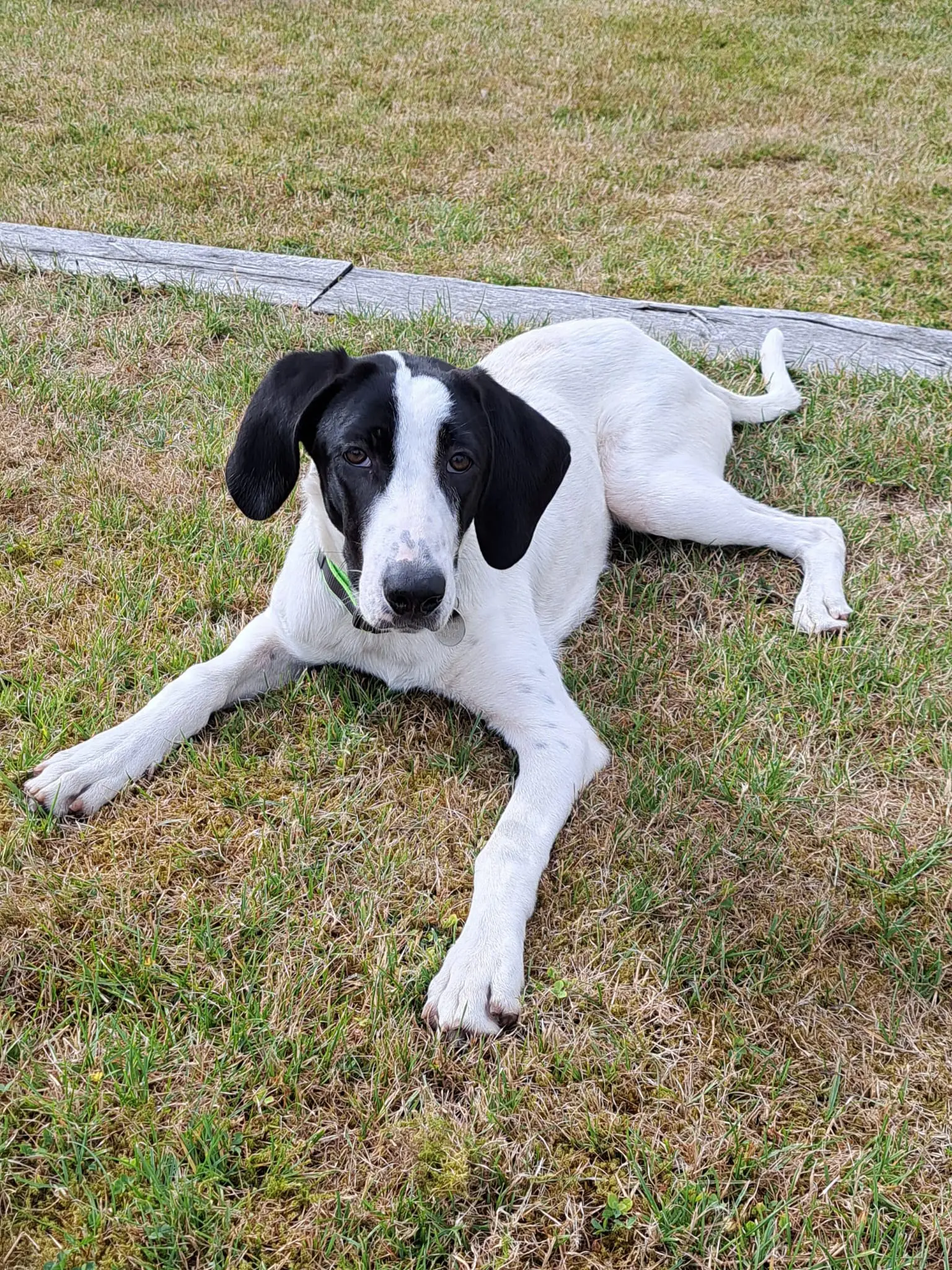 Nancy -A little sweet soul with a big heart.