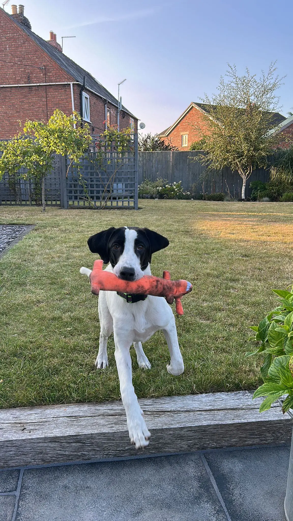 Nancy -A little sweet soul with a big heart.