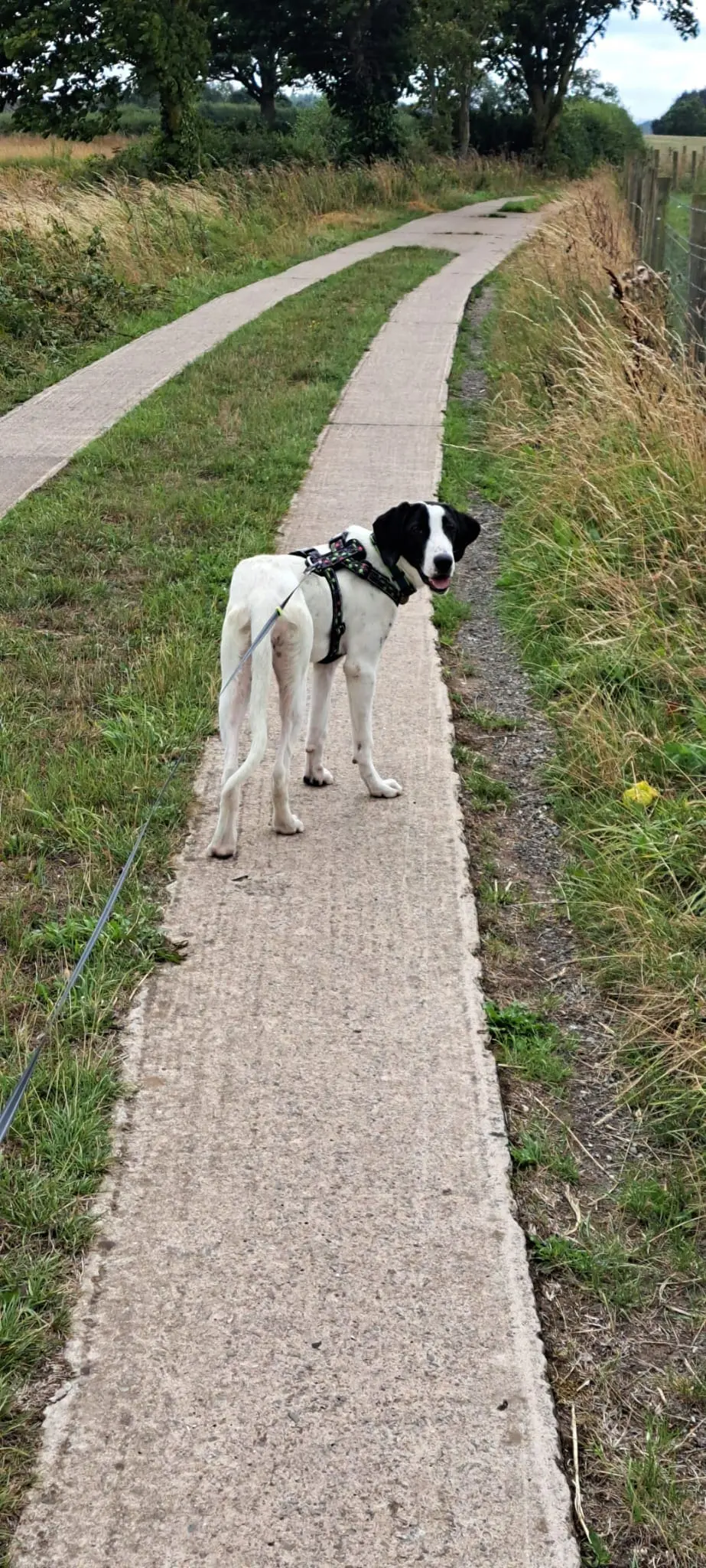 Nancy -A little sweet soul with a big heart.