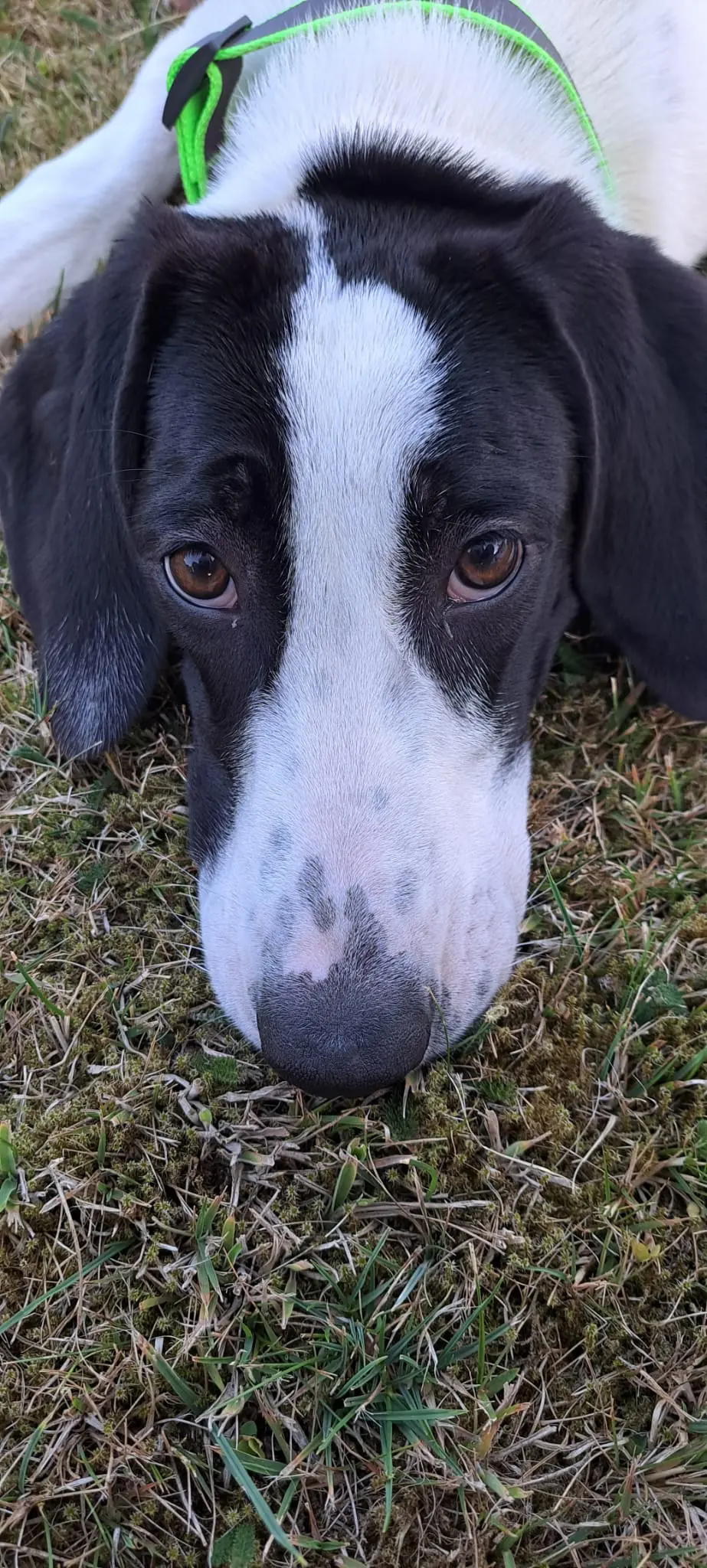 Nancy -A little sweet soul with a big heart.