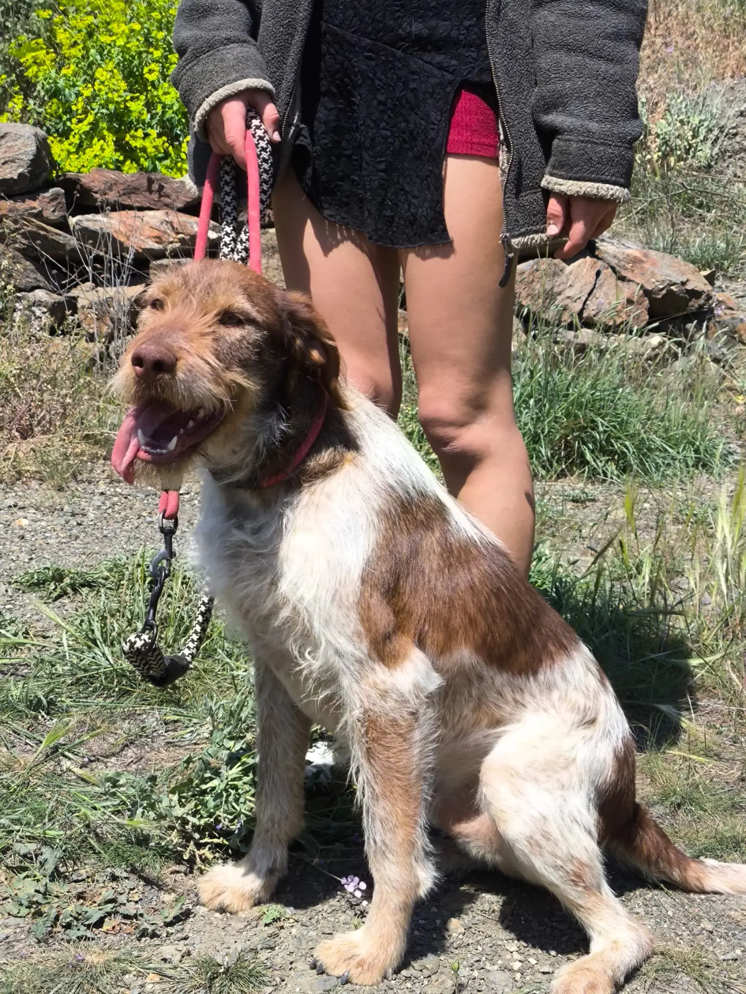 Walter now Billy (adopted June 2026)