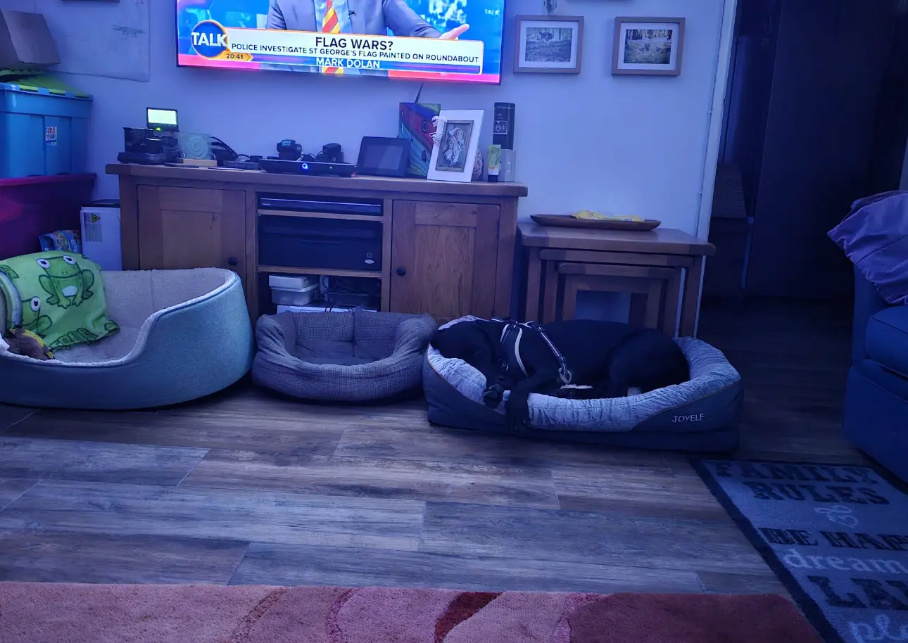 Fendi- Sweet Smart Boy – Full of Love.