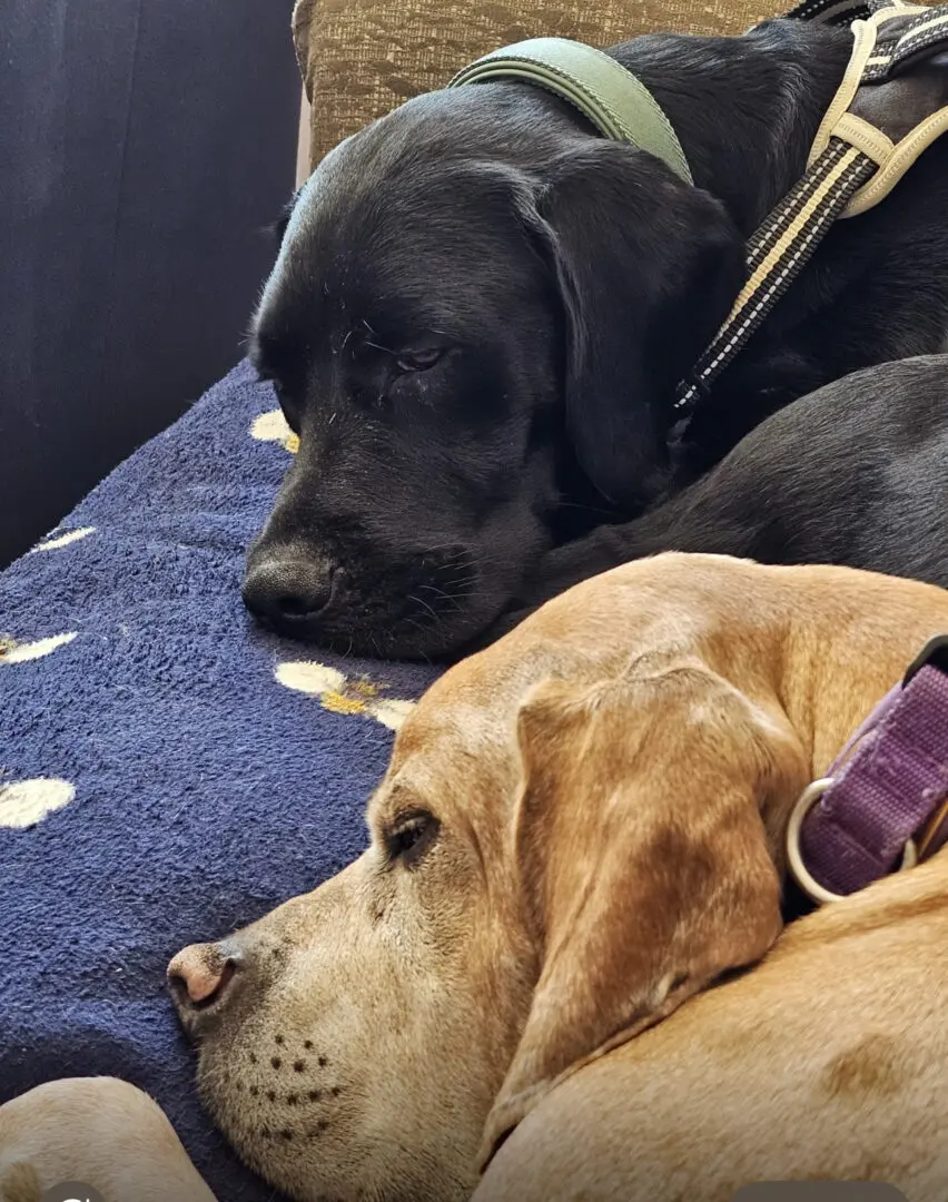 Fendi- Sweet Smart Boy – Full of Love.