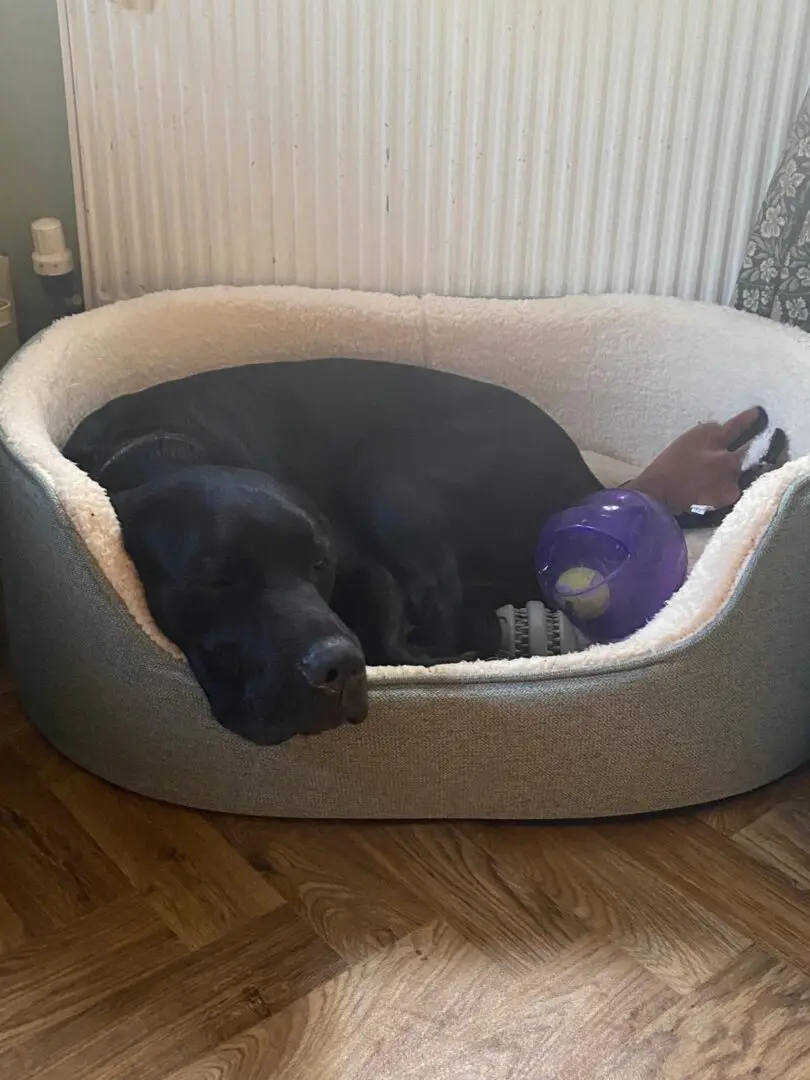 Fendi- Sweet Smart Boy – Full of Love.