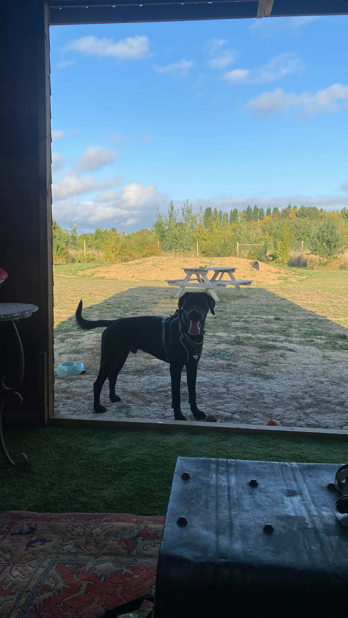 Fendi- Sweet Smart Boy – Full of Love.