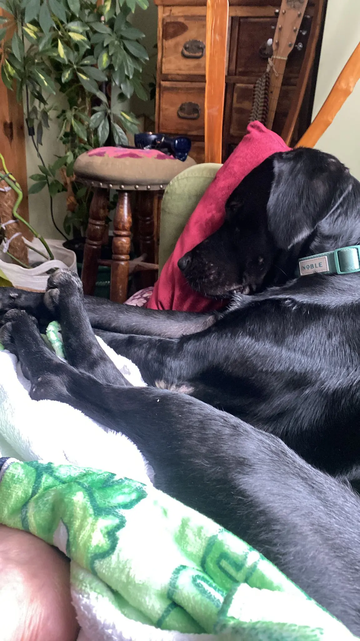 Fendi- Sweet Smart Boy – Full of Love.