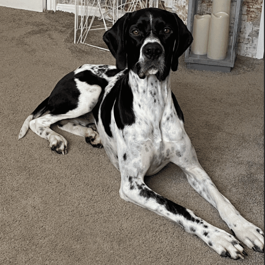 Tucker (Adopted November 2025)