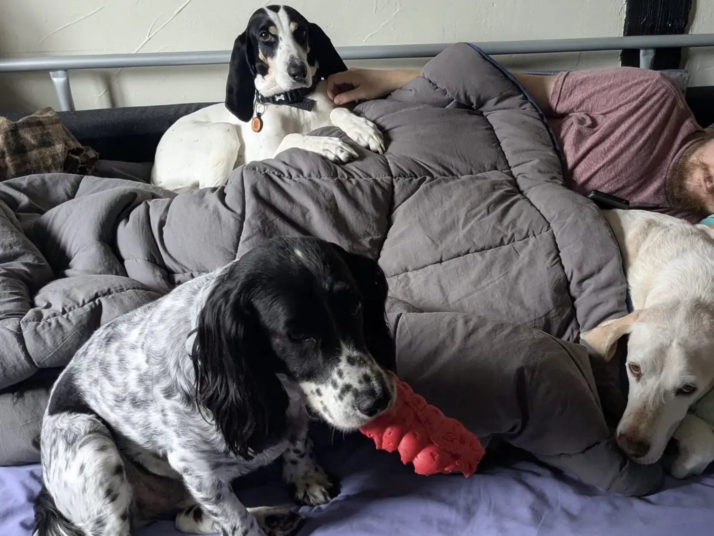 Luna now Wilma (adopted June 2026)