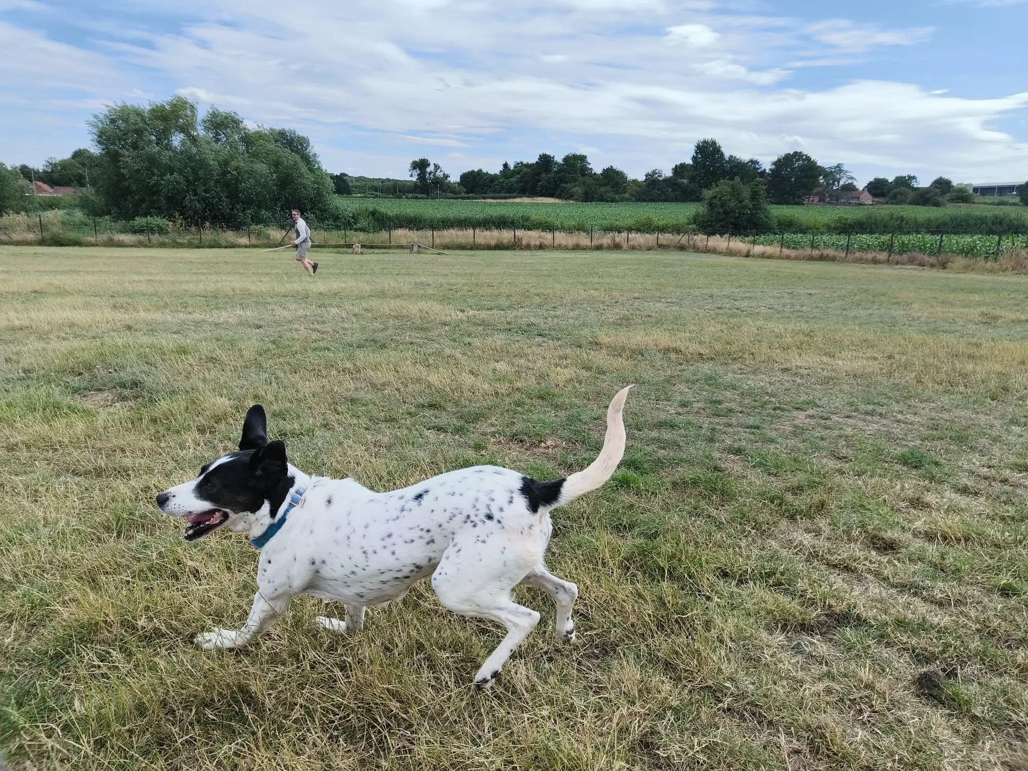 Kardy – A Brave and Gentle Little Angel